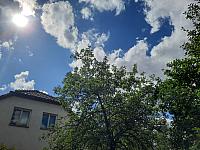 Olešná