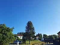 Olešná