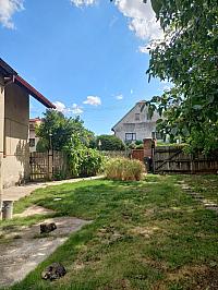 Třibřichy