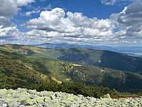 Prasiva
