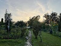 Český Těšín