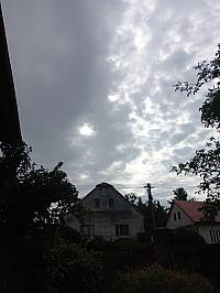 Třibřichy