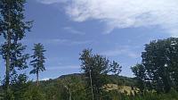 Svor