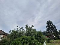 Olešná