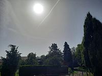 image_1031019.jpg