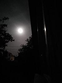 image_1031147.jpg