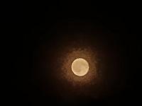 image_1031155.jpg
