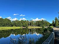 image_1031270.jpg