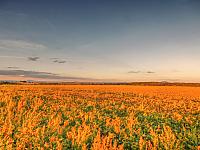 image_1031303.jpg