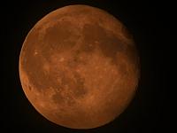 image_1031304.jpg