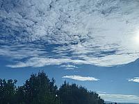 image_1031338.jpg