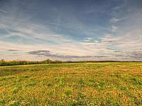image_1031454.jpg