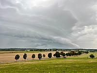 image_1031491.jpg
