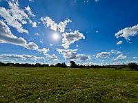 image_1031573.jpg