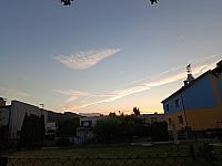 image_1031597.jpg