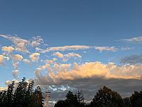 image_1031603.jpg