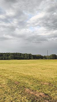 video_1028310.jpg