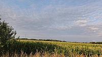 Lukovany