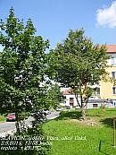 Slavičín, sídliště Vlára