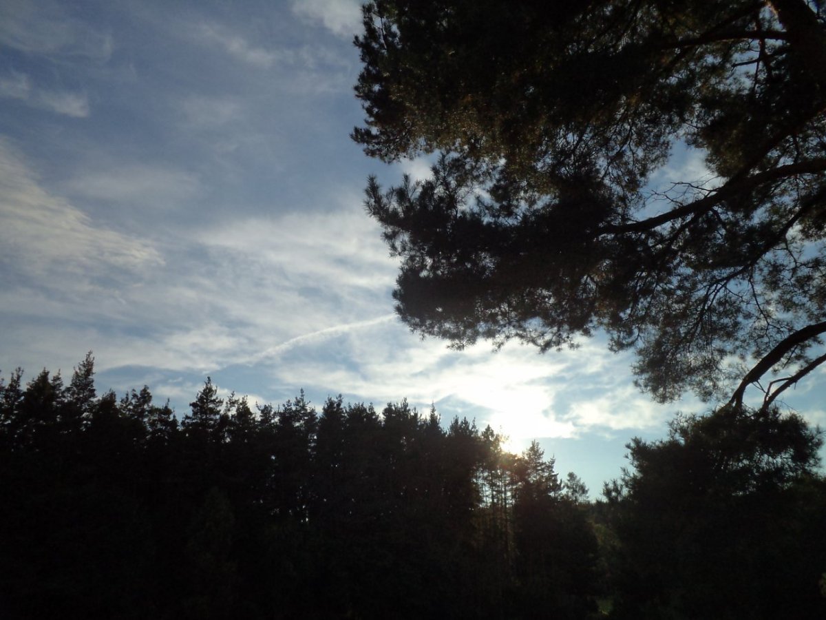 Hradec u Stodu (chat.os.Babylon)