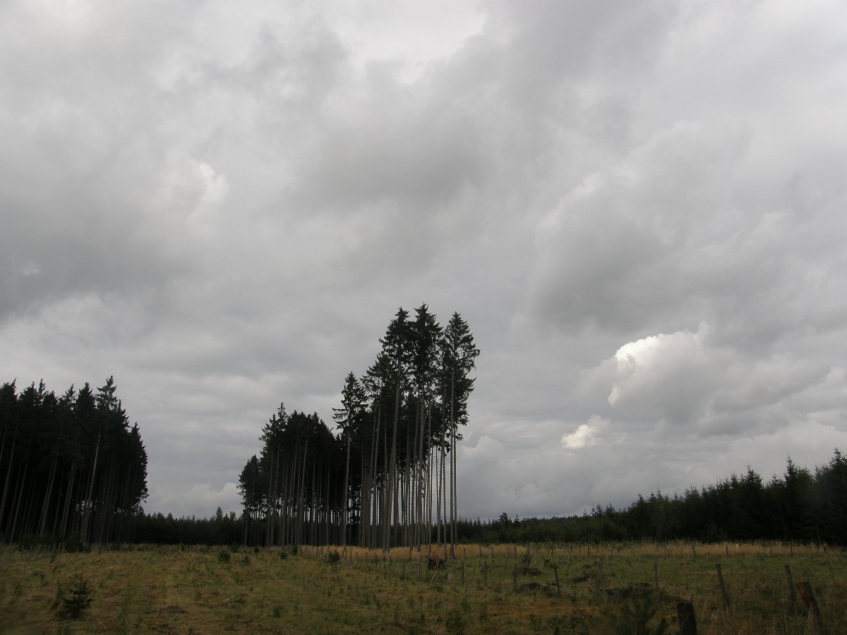 Dětenice-Brodek, okr. Jičín