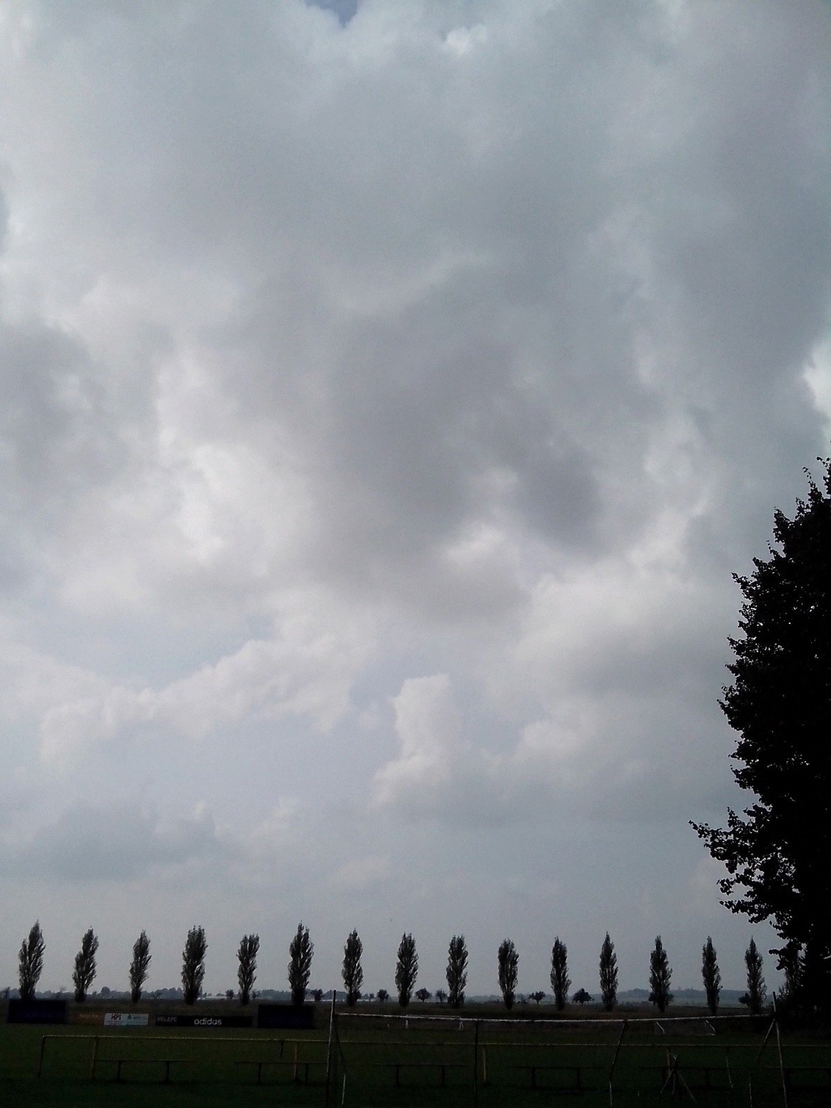 Předměřice nad Labem