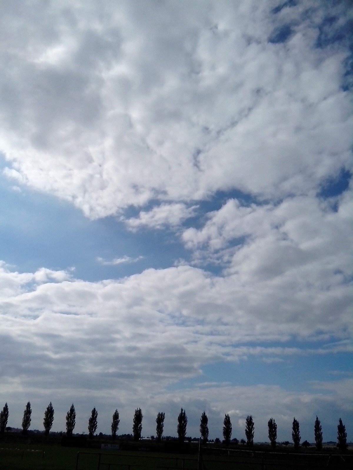 Předměřice nad Labem