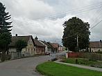 Třibřichy