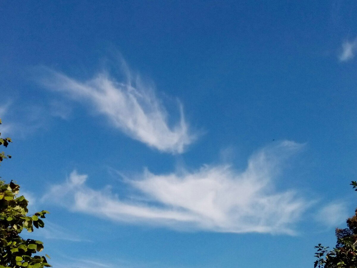 Červený Hrádek u Jirkova