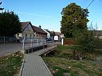 Třibřichy