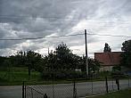 Třibřichy