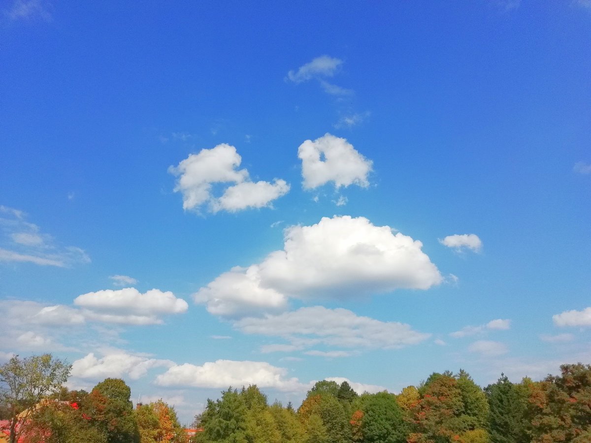 Jílové u Děčína