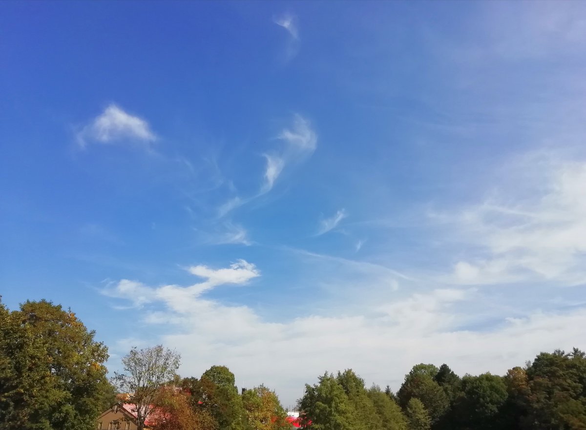 Jílové u Děčína