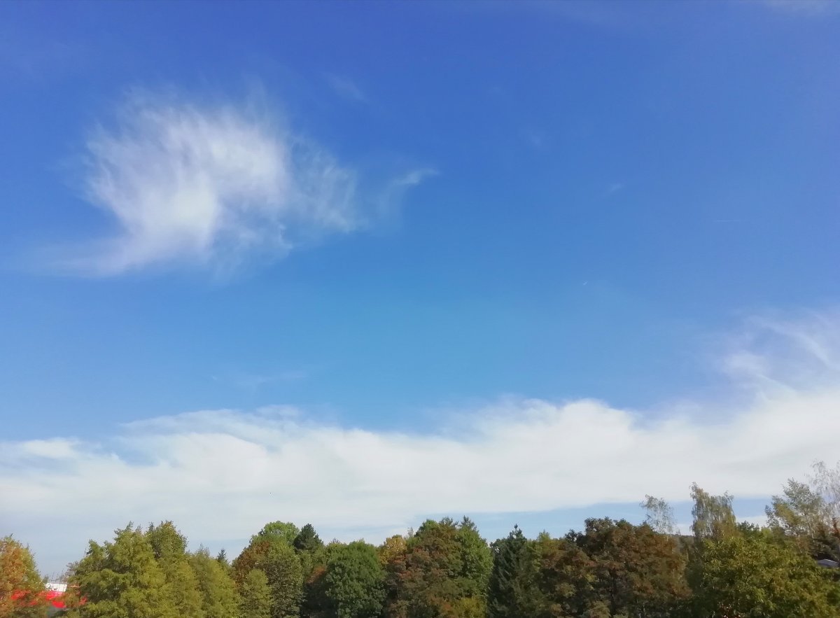 Jílové u Děčína