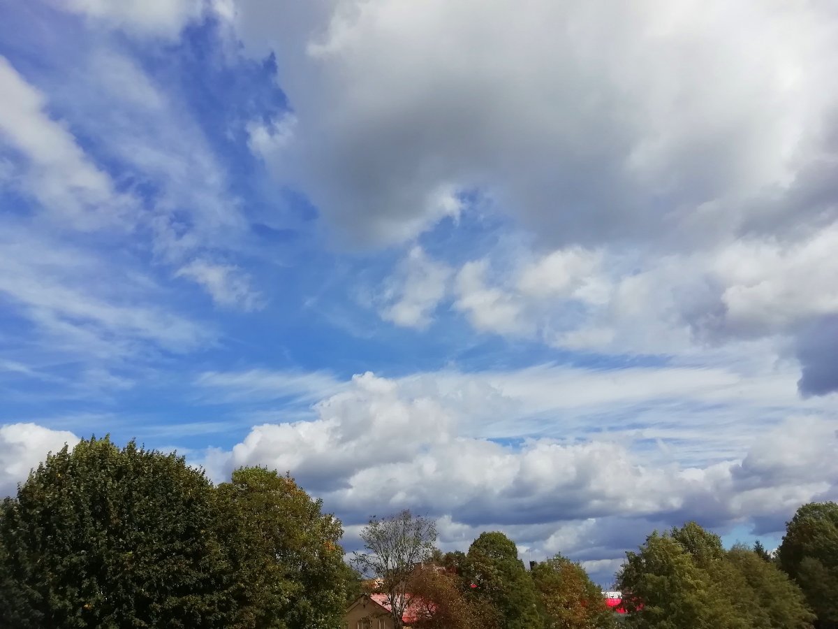 Jílové u Děčína