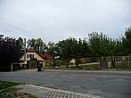 Třibřichy