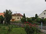 Třibřichy
