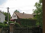 Třibřichy