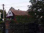 Třibřichy