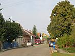 Třibřichy