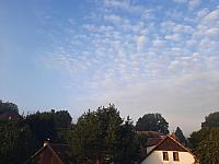 Olešná