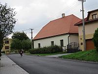 Třibřichy
