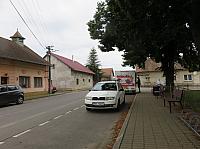 Třibřichy