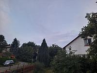 Olešná