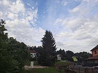 Olešná