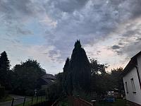 Olešná