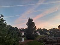 Olešná