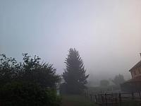 Olešná