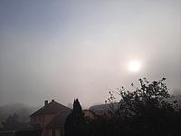Olešná