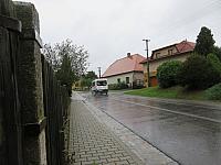 Třibřichy